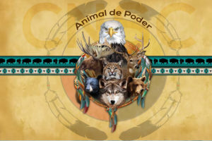 Tudo Sobre Xamanismo - Céu Nossa Senhora da Conceição